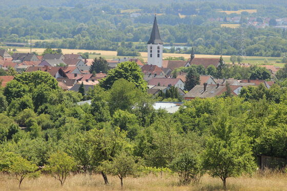 Blick auf Oberhaid ins Maintal